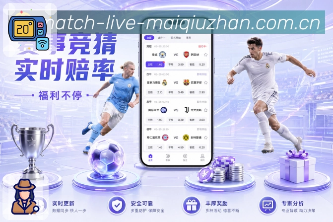 安装指引 - 下载、更新与常见问题